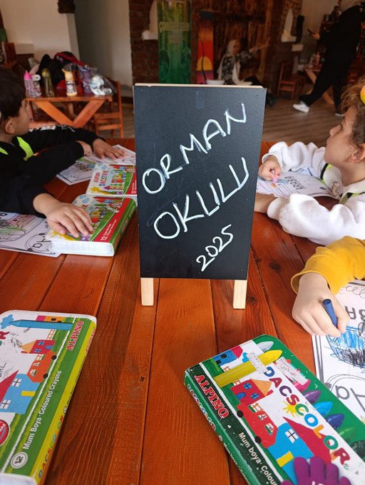 Group of young children in colorful vests and casual clothes stand smiling on wooden steps under a covered pavilion with trees and blue sky in background several adults in headscarves and casual attire pose with them. Children in vests sit at wooden tables drawing with crayons and colored pencils on paper surrounded by art supplies and books one table has a blackboard easel labeled Orman Okulu 2025. Children in vests draw at another wooden table with crayons pencils and books blackboard shows Orman Okulu 2025. Group of young children in vests sit in red seats of a blue cable car playground structure with trees and benches in background two adults in headscarves stand nearby.