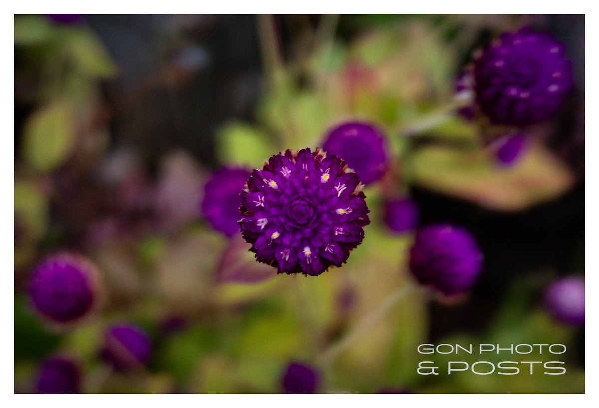 雨の権之助坂@Free&Easy on X