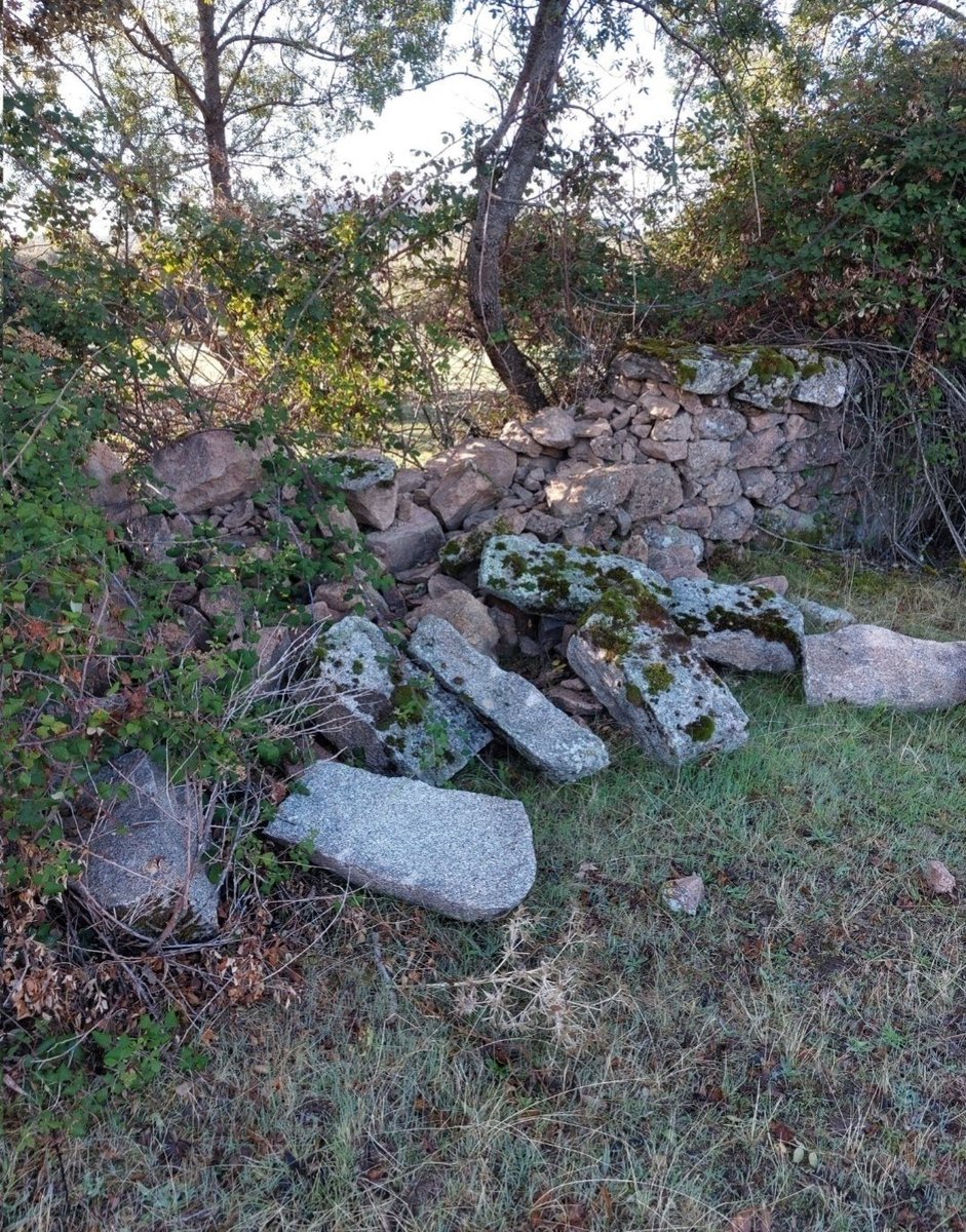 2 años y ½ después... sigue sin repararse este derrumbe de la tapia del MUP Dehesa Nueva a la altura del C° de la Encinilla. Ese tramo es el mejor conservado y el más bonito de la tapia. Por favor, se ruega gestionen su reparación. Es una pena no conservar esa joya. #Moralzarzal