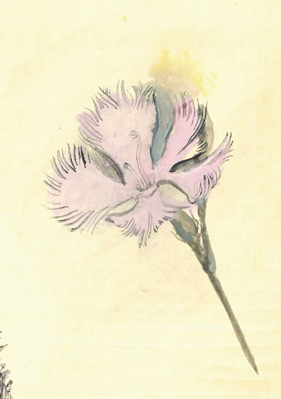 緑と水の市民カレッジ on X