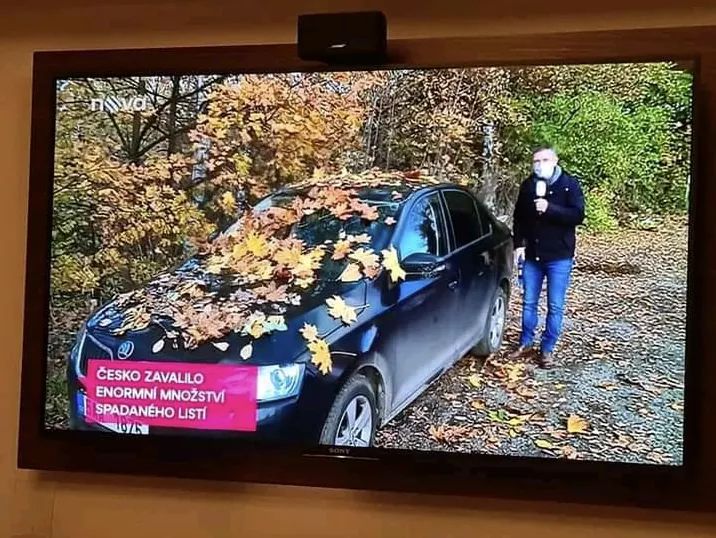 SolarReptile's tweet image. 