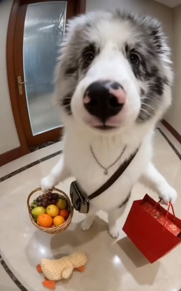 ม๊า เปิดตูหน่อยค่า ปะป๊ามาง้อ