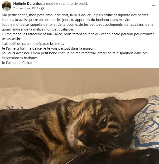 MissingTarn81's tweet photo. @stephbubble_ @justineducern Déjà, il faut donner le lien de la vraie propriétaire (qui est donc en Gironde) : https://t.co/ITbCFfD8vU https://t.co/cxJyp25LFB