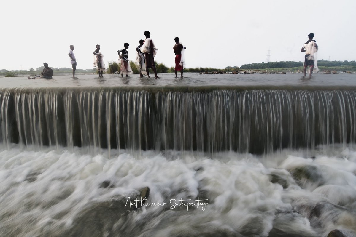 Asitkumar_AK's tweet photo. Local fishermen cast their nets near the Balakati syphon, where the controlled waters create a mesmerizing, cascade-like curtain.#fishinglife #localfishermen #balakatisyphon #naturephotography #waterfall #watercontrol #fishingcommunity #cascadingwater #explorenature #rurallife https://t.co/f7RlDqsU9h
