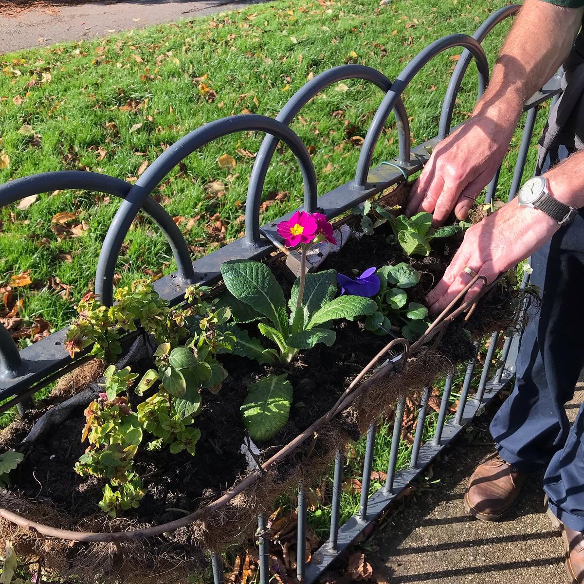 Friends of GH Park tweet media