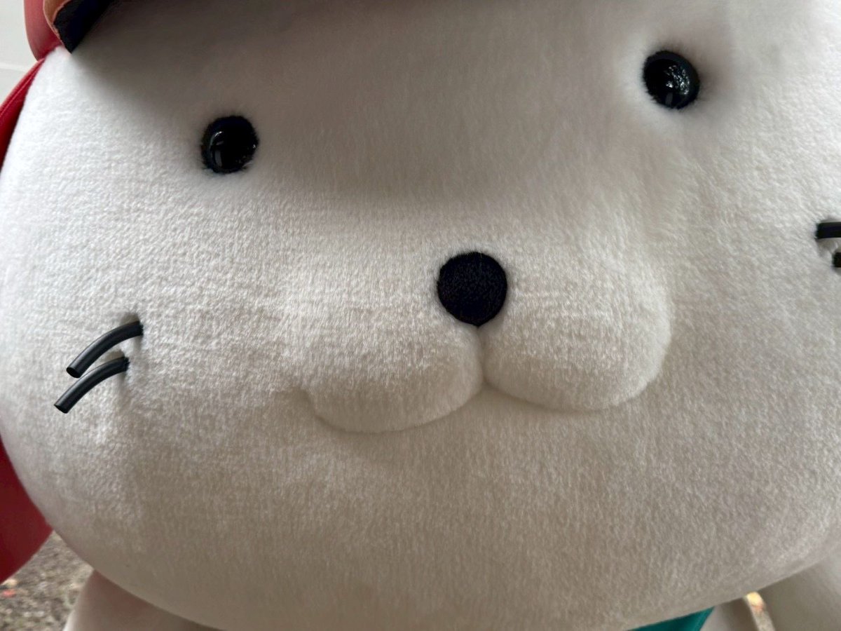 本日も、#ひこにゃん 殿が楽しそうにお散歩しておられたので、近くに忍