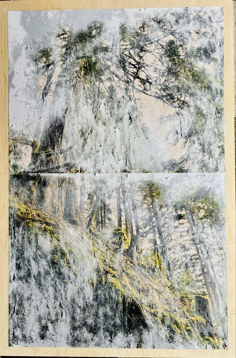 SacredStills's tweet photo. Uncovering layers + layers to reveal the unfinished artwork Stars, 2025. (24 x 36 in. on wooden panel). A 2D wip piece from my Eroded Origins: Speak For Me ! project. Nov 20-23 #culturecrawl 

#erodedorigins #climateart #SpeakForMe #climatechange #ecoartist #climatejustice https://t.co/W4KNHQZ2qK