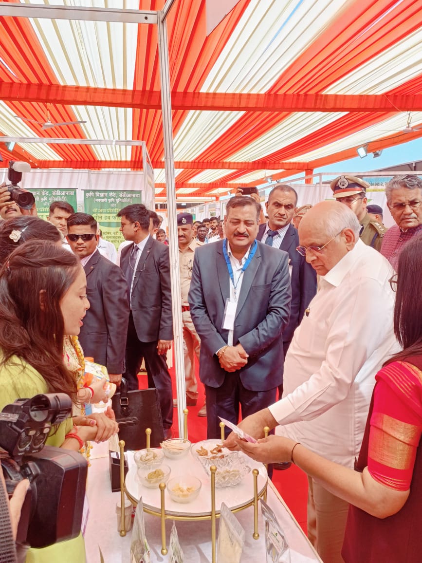 NJalalpore13's tweet image. જલાલપોરતાલુકામાં કોથમડી ગામના પ્રગતિ સખીમંડળના   મેધનાબેન ગીરીશભાઈ પટેલ દ્વારા એક વર્ષથી કામગીરીની શરૂઆત કરી જેમાં જડીબુડીઓ,નિર્જલીકૃતફળો,શાકભાજીનો પાઉડર બનાવટની કામગીરી કરવામાંઆવે છે,અને તેઓ સખીમંડળ/મિશન મંગલમ યોજના સાથે જોડાયેલા છે, તેઓ અંદાજિત130000 જેટલી આવક મેળવે છે.