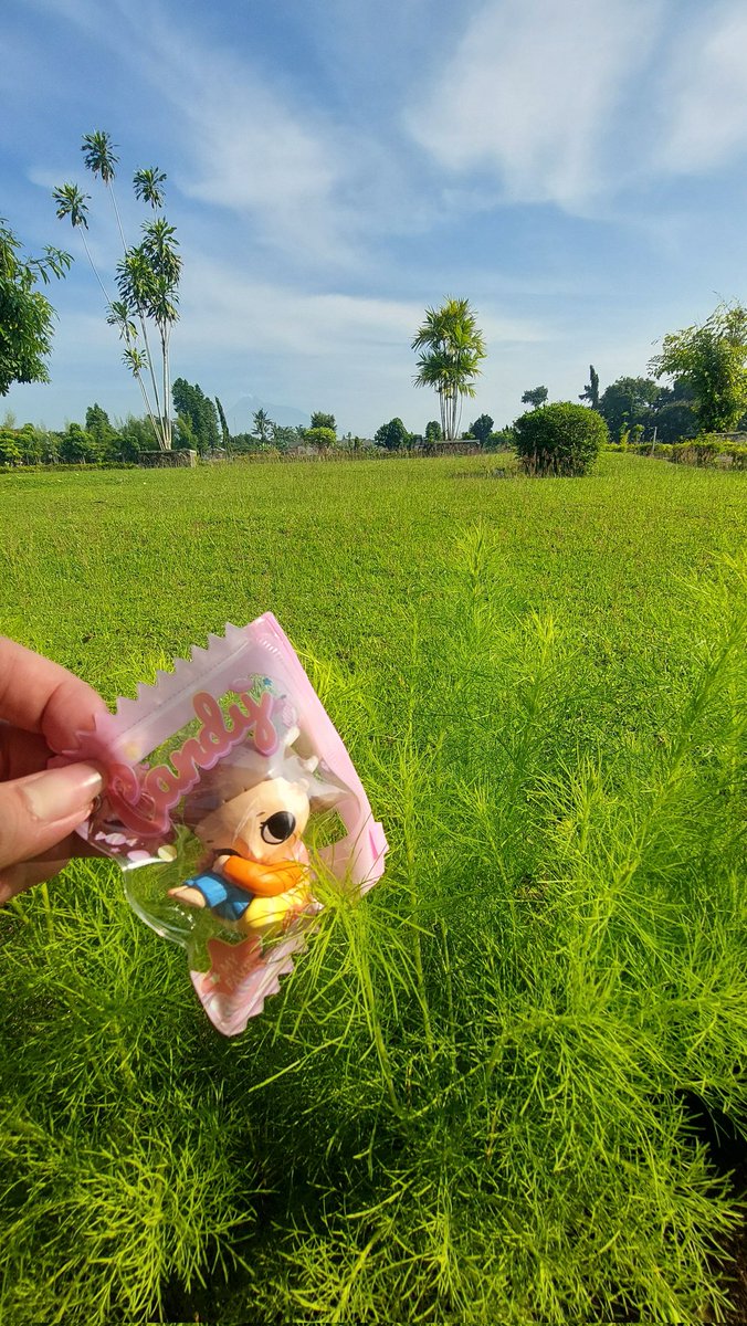 bobaiato's tweet image. Jogja recap with nyota. Terima kasih jogja🫶🏻 first time jalan2 ke jogja, and I fall in love immediately with the city.