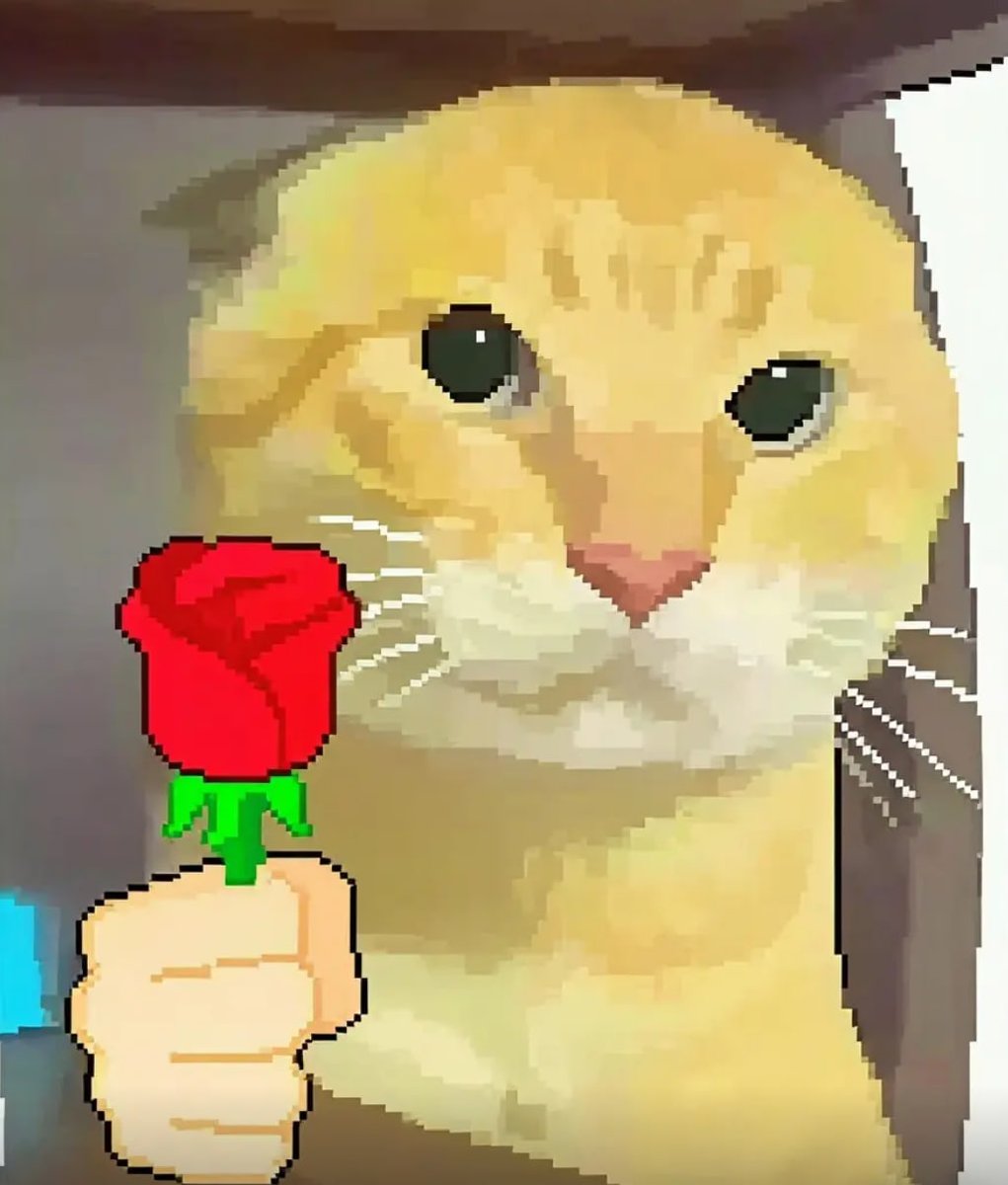 哈基米 tweet media