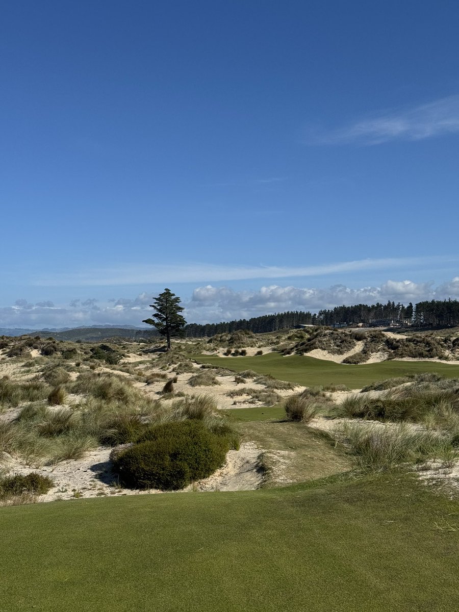 Tom_Buckley7's tweet photo. Tara Iti.
Truly one of the best in the world.
#taraiti #NewZealand https://t.co/1EXQKw4T5L