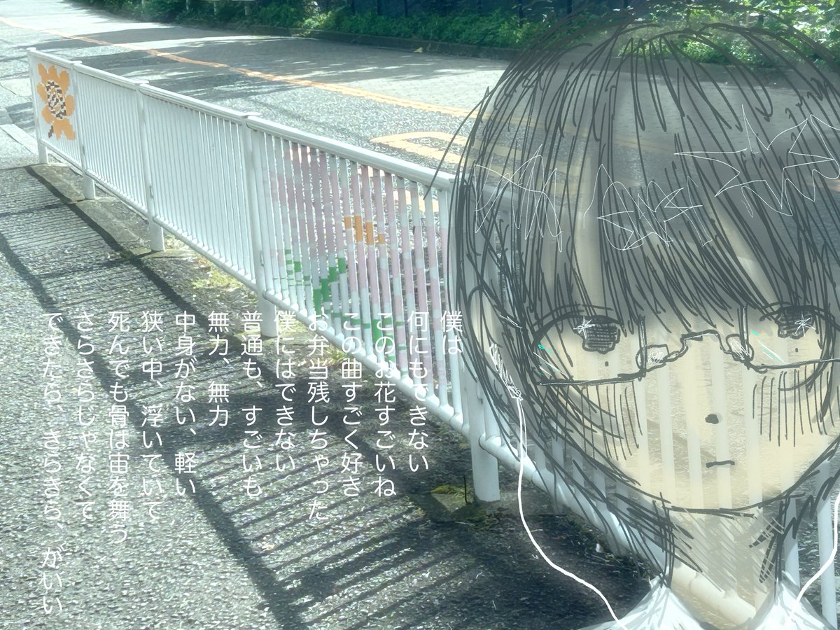 ✿︎