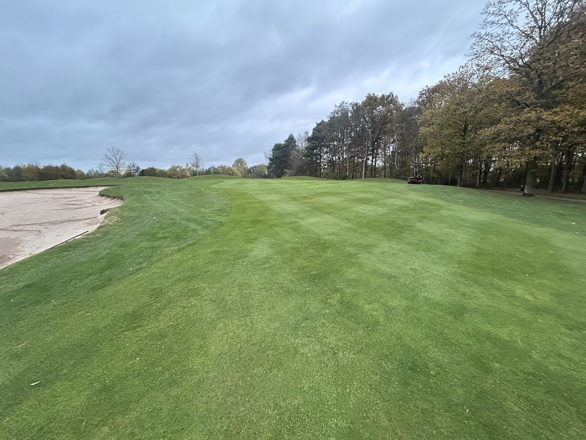 Ian Holden tweet media