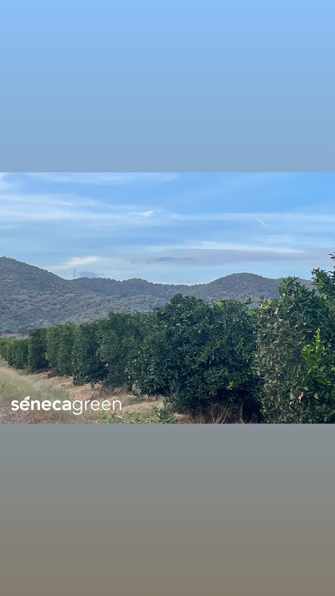 Seneca Green Agro tweet media