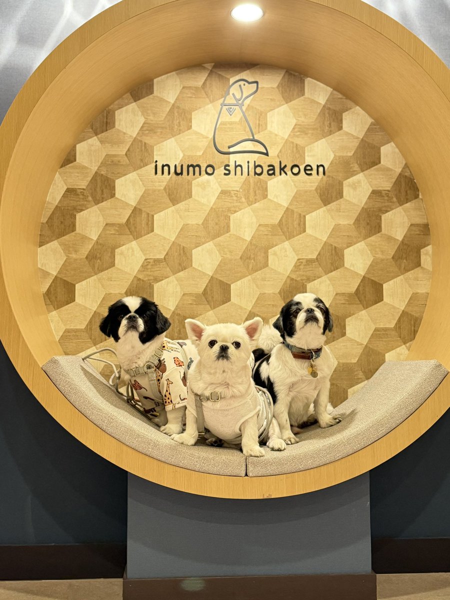 川上優 (森野雫)