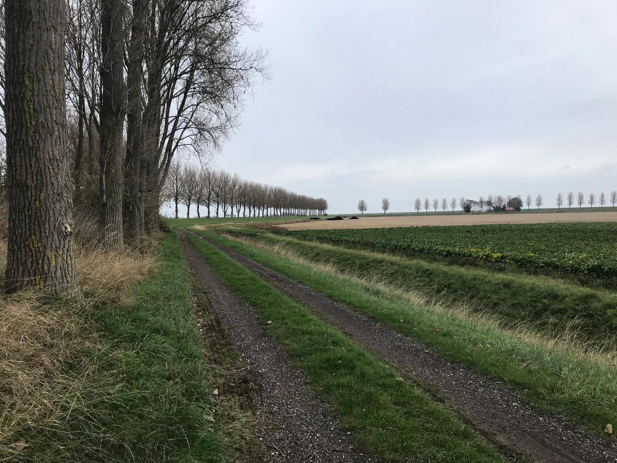 Goedemorgen wens jullie een mooie dinsdag toe!😘🌤️☕️🙋🏻‍♀️
#Coupure #Eiergat2 #Beukelspolder1845
#Biervliet