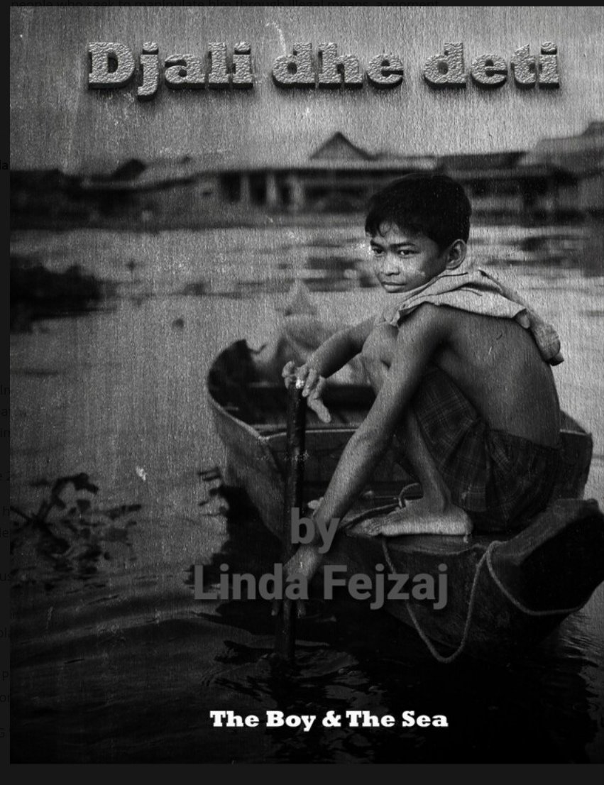 "The Boy &amp;the Sea" is a drama .
A thirteen-year-old boy living in extreme poverty, in an attempt to survive, encounters people who want to use him.
But what will the boy do?
Will greed for money kill him...?
Will he become part of evil...?
The journey through festivals  begins...