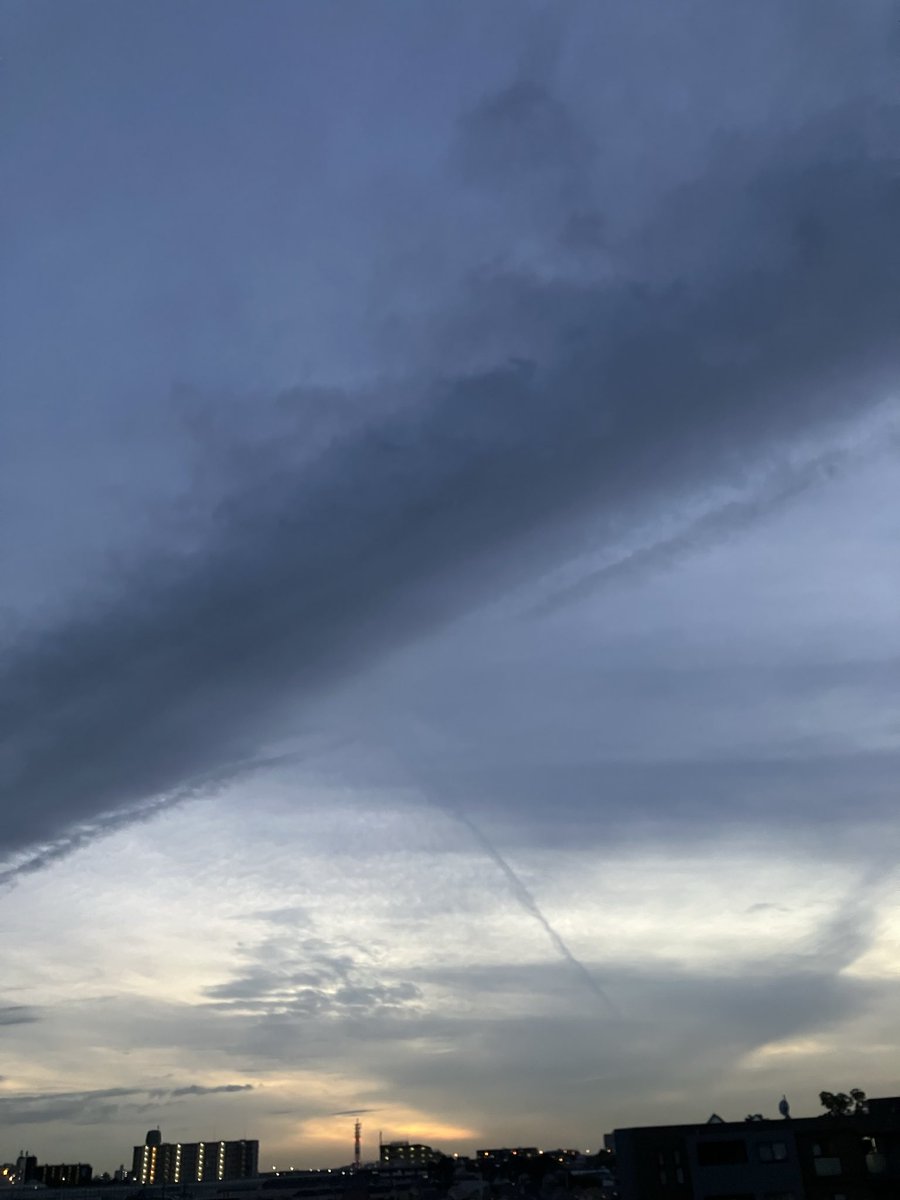 恵美ページ SALE！アメリカ発！1971年にジョンレノンが着用していたプリントを再現！