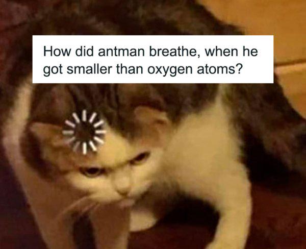 ThePhysicsMemes's tweet image. ??? #class