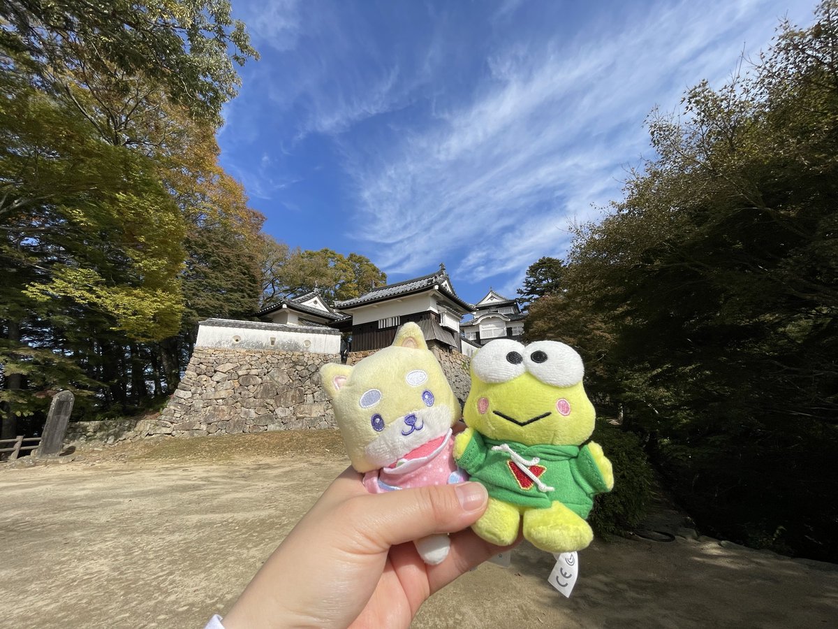 🐶hiromi🐶(3) on X