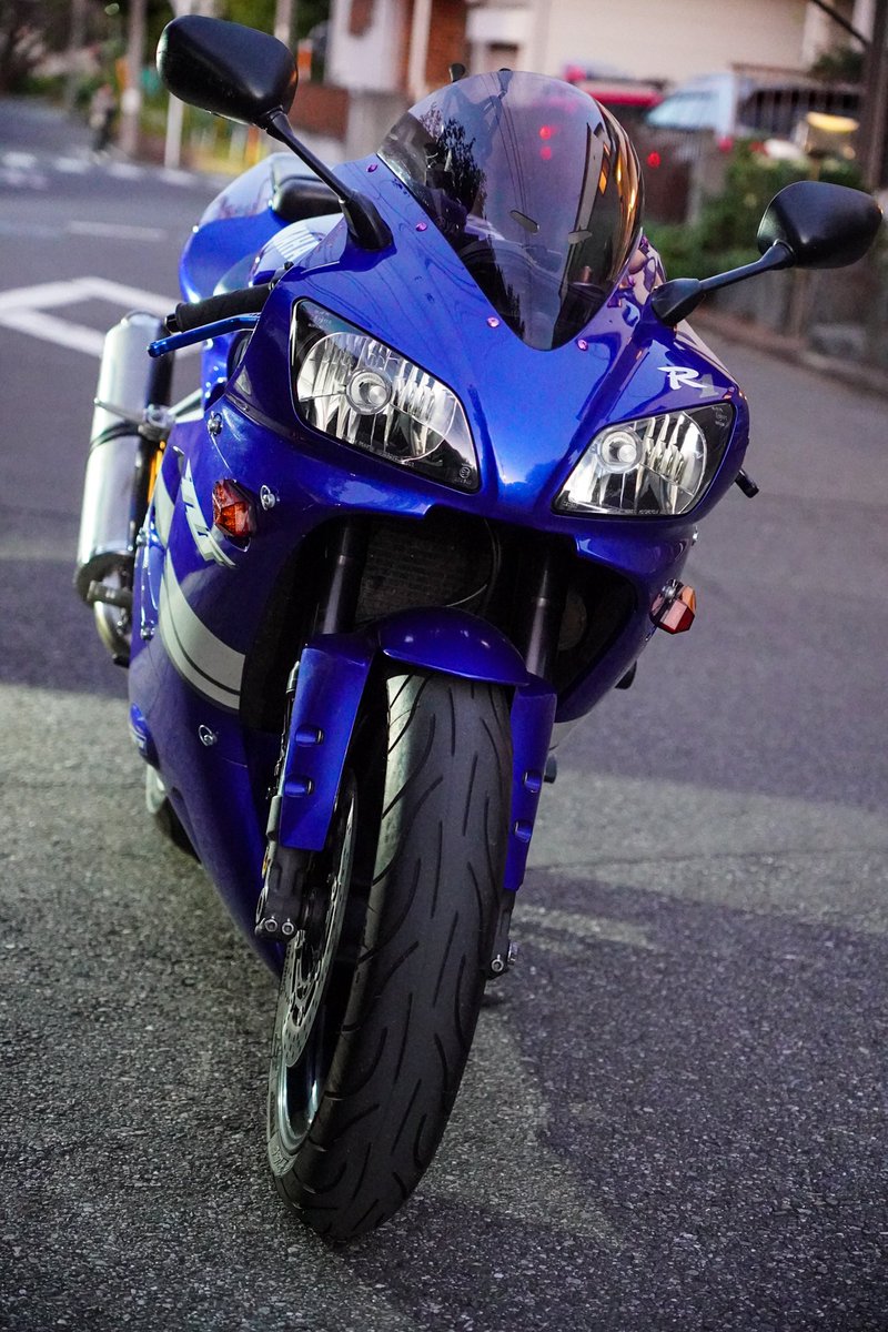 ⭐️もこです どこから見ても目が合うラブリーなうちの子見て。 今流行りのシュッと