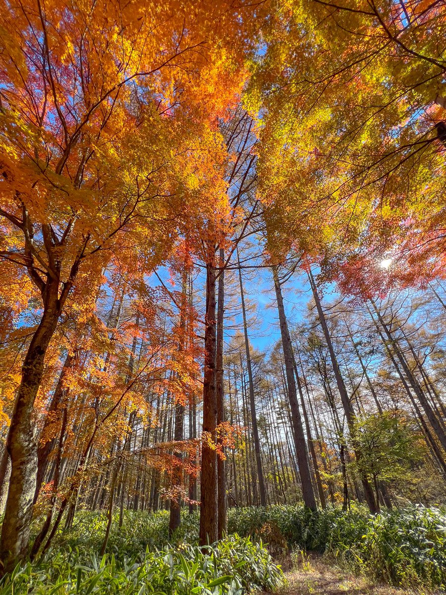 秋葉不動産『登戸を中心とした川崎市多摩区内の楽器相談可賃貸物件