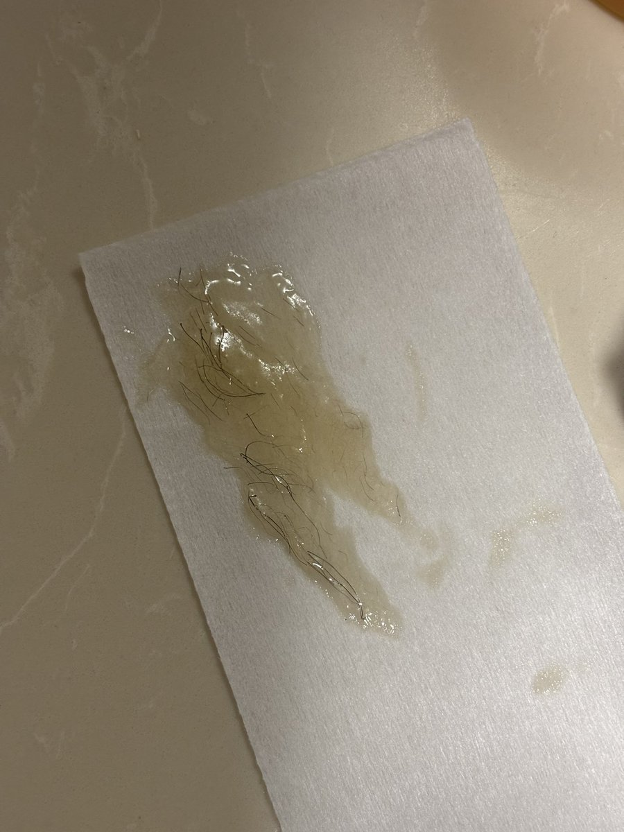 芋泥奶酪熊 tweet media