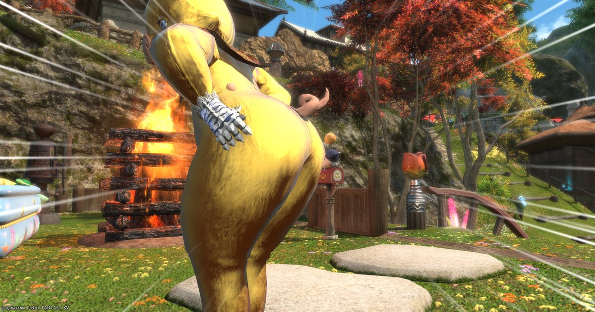 今日はいいおし…りの日と言う事で🐷🍑