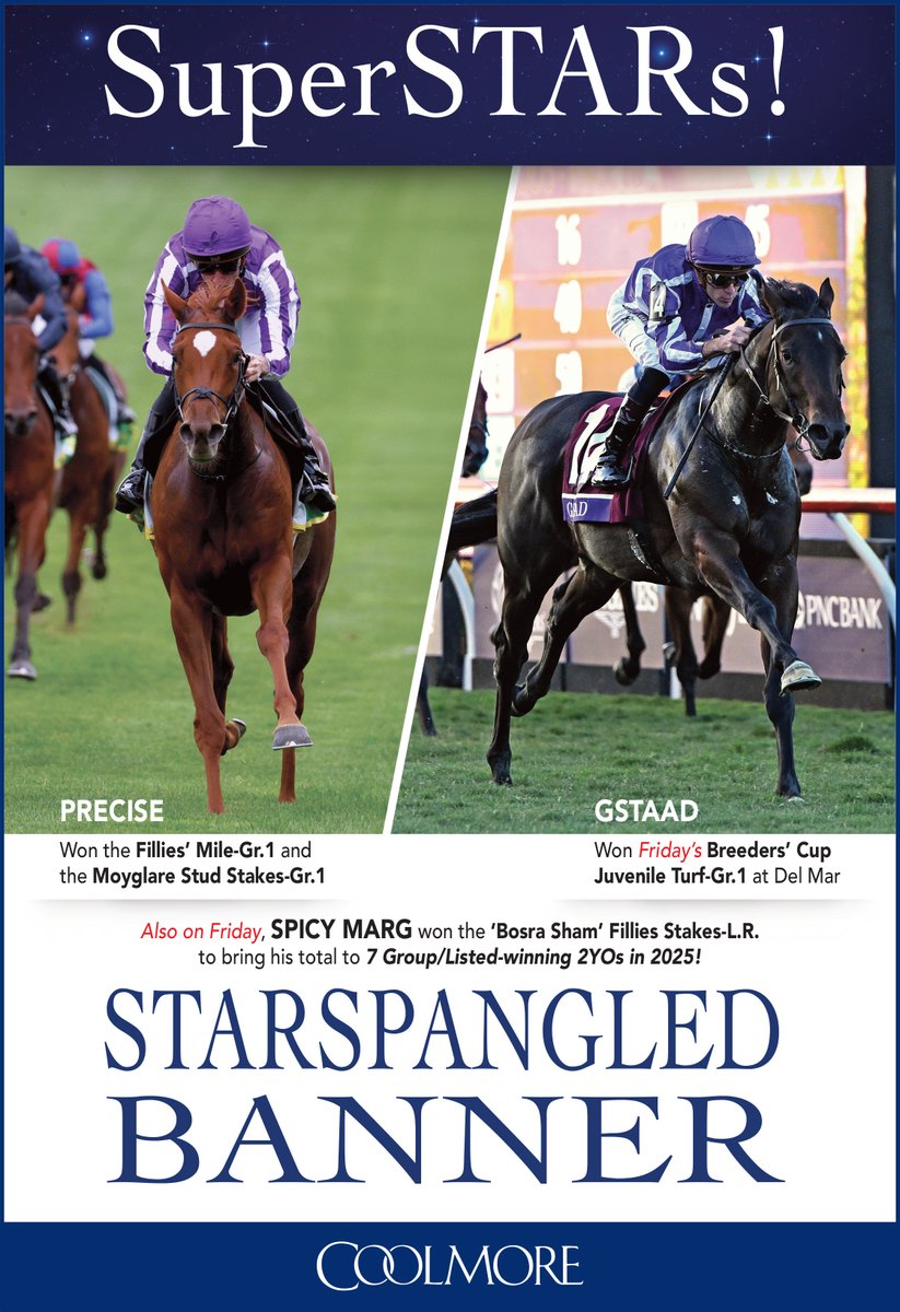 Starspangledbanner's progeny are flying✈️

🥇Precise wins the Gr.1 Fillies' Mile and the Gr.1 Moyglare Stud Stakes

🥇Gstaad wins the Gr.1 Breeders' Cup Juvenile Turf

🥇Spicy Marg wins the Listed 'Bosra Sham' Fillies Stakes

That brings his tally to 7 winning 2yos of Group and