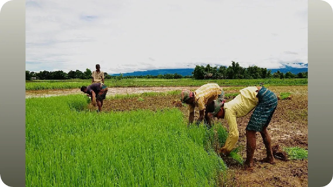 Elcat5's tweet image. This image says it all 🌿
It starts with you. Make a difference.

View the post 👉 app.ecox.network/community/post…
Earn GREEN on @ECOX_ECOToEarn while you act:
app.ecox.network/register?refCo…

#ECOX #GREEN #ECO_TO_EARN