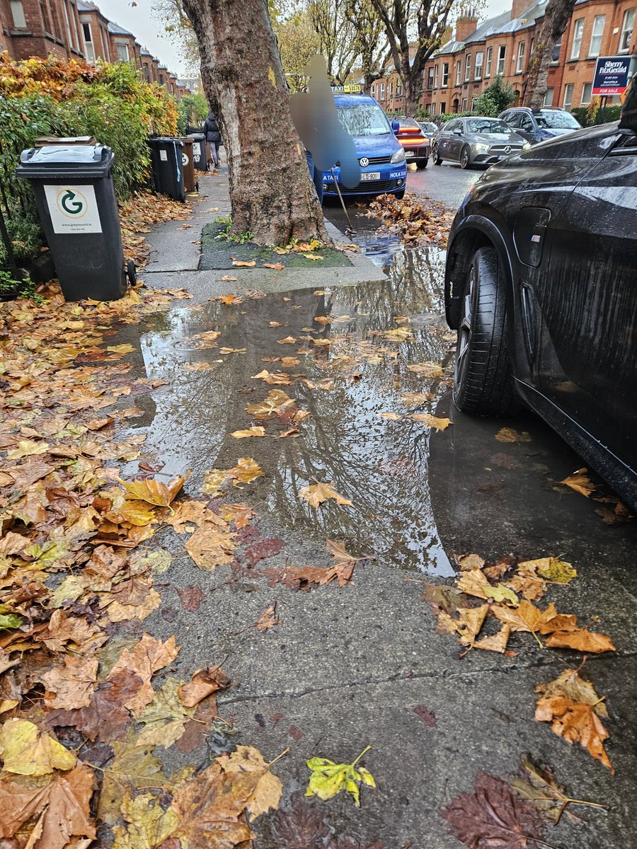 mkear2016's tweet photo. @dccBETA photographs from South Circular road near NCH this morning. Please send out Street Cleaners urgently. https://t.co/K2pqoZkjle