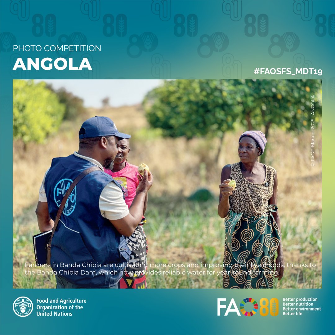 faosfsafrica's tweet photo. 📷🗳️🇦🇴
🌱 From dry fields to flourishing farms
 💧 Solar-powered irrigation &amp; Farmer Field Schools
 🐄 Stronger animal health systems for climate resilience

In Huíla Province, @FAO &amp; partners are empowering communities through water access, training &amp; innovation #FRESAN https://t.co/HGOfabxT8e