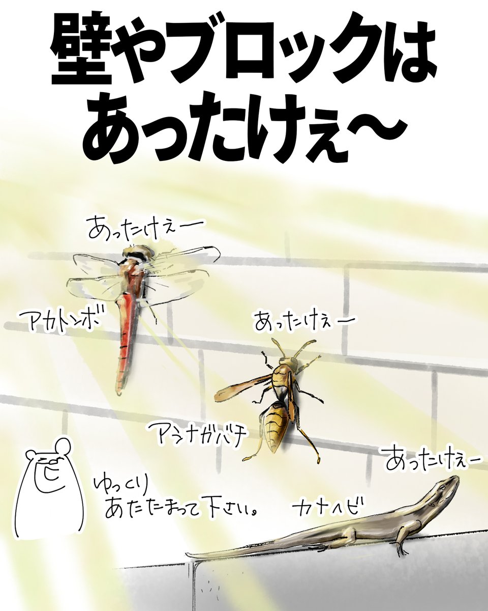 固定20ダメージ (@escape0221) / Posts / X