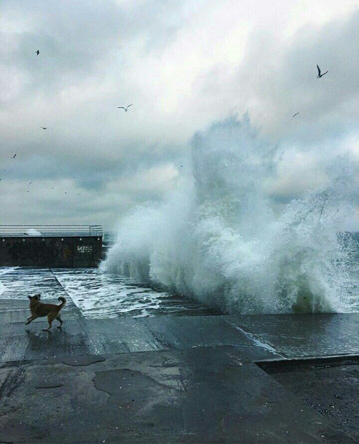 Катерина Галич tweet media