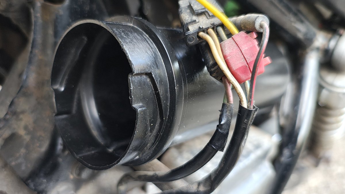 のぶ様 のぶ&マグナくん♪ on X