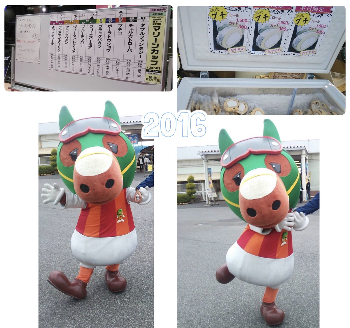 牧場ウマウマ The total number is a whopping 684! Northern Farm's 2025