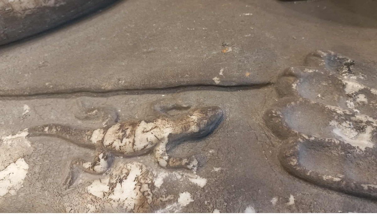 Ha aparecido en una calle de Pula (Croacia) esta delicatesen romana del siglo II. 

Un escultura de Cupido durmiendo sobre una piel de león. La cabeza del 🦁 le hace de almohada.