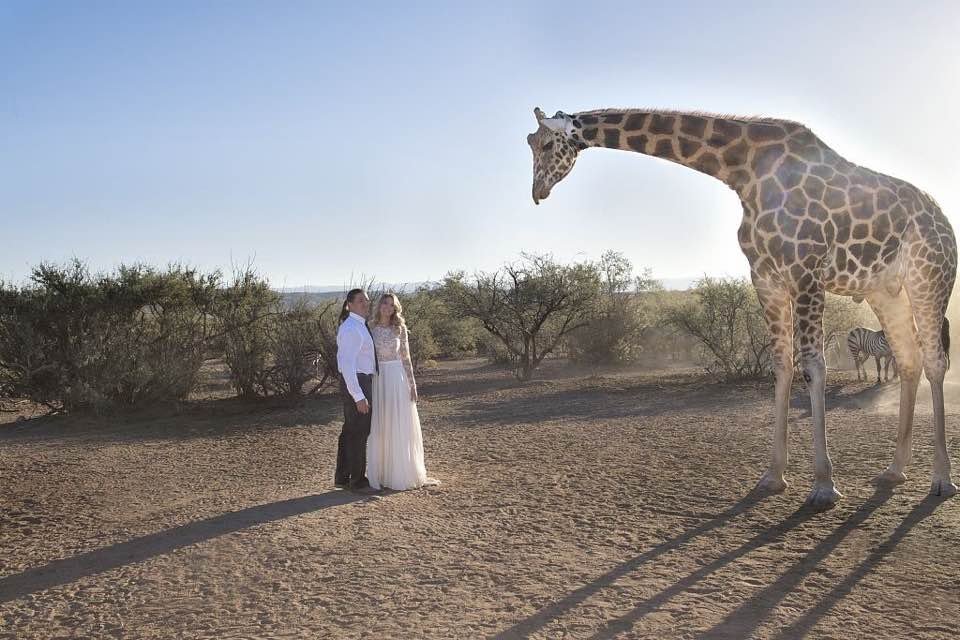 AndrewYoungAU's tweet photo. What a memorable wedding photo https://t.co/gGaApLjWvK