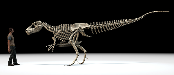 Stuart Pond Design tweet media