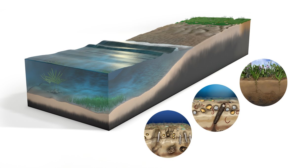 Stuart Pond Design tweet media