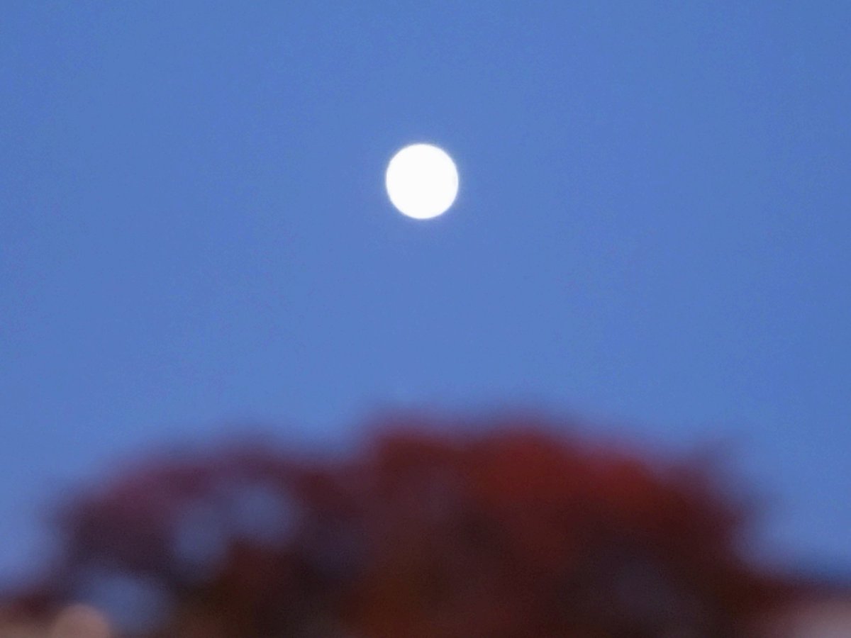 ふぇあり〜 on X