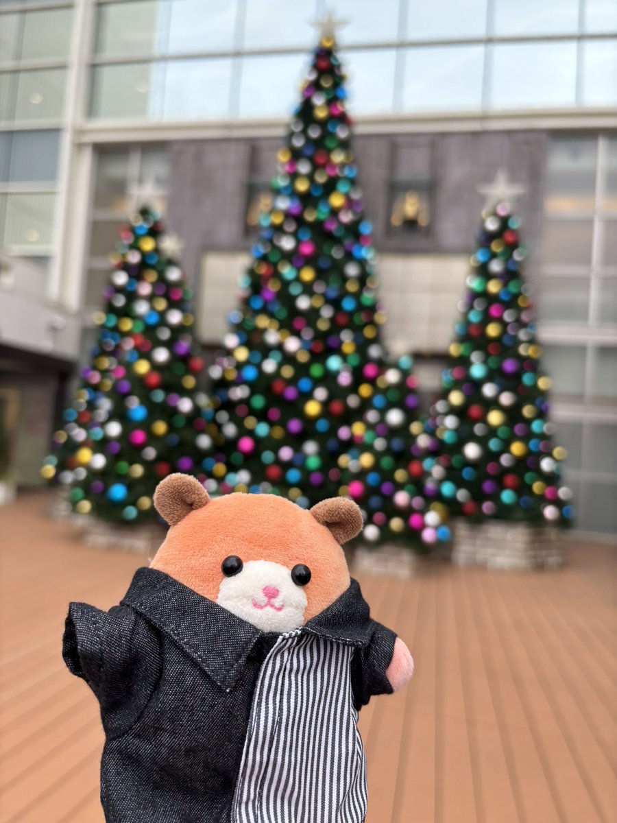 佐々木ハムハムズ (@hamharu_ssk) / Posts / X