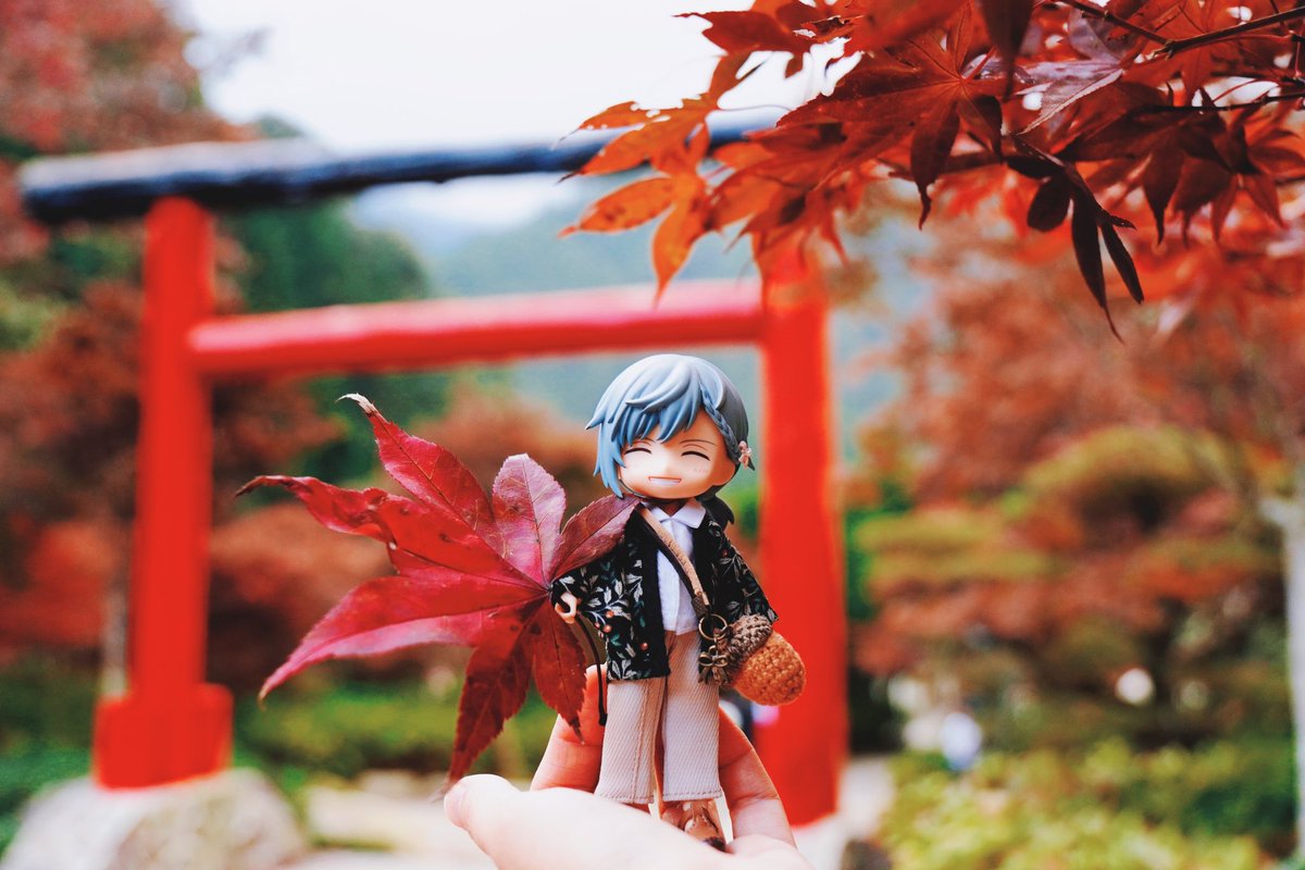 #11月4日はいい環の日
春夏秋冬 🌸🌼🪻🍁