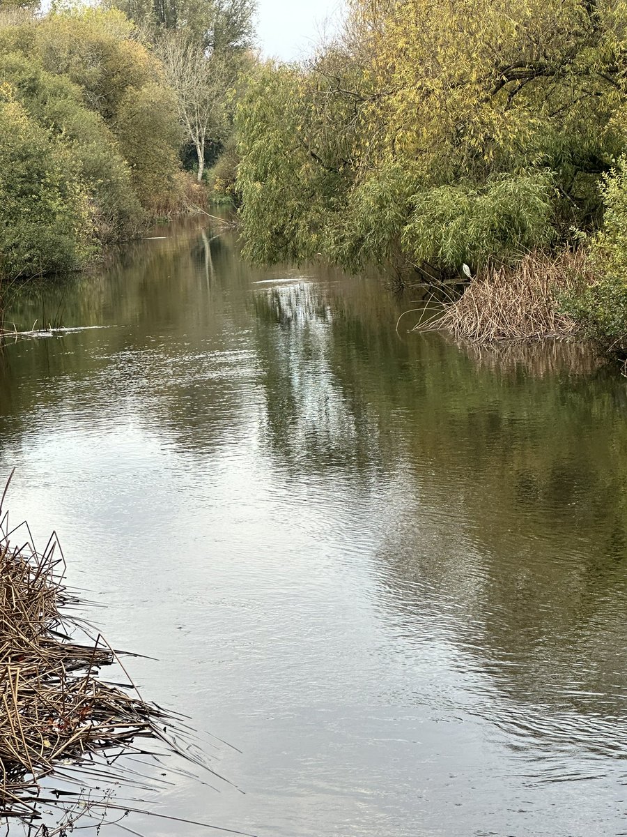 The Stour valley nature reserve in Bournemouth this morning #Landscapephotography