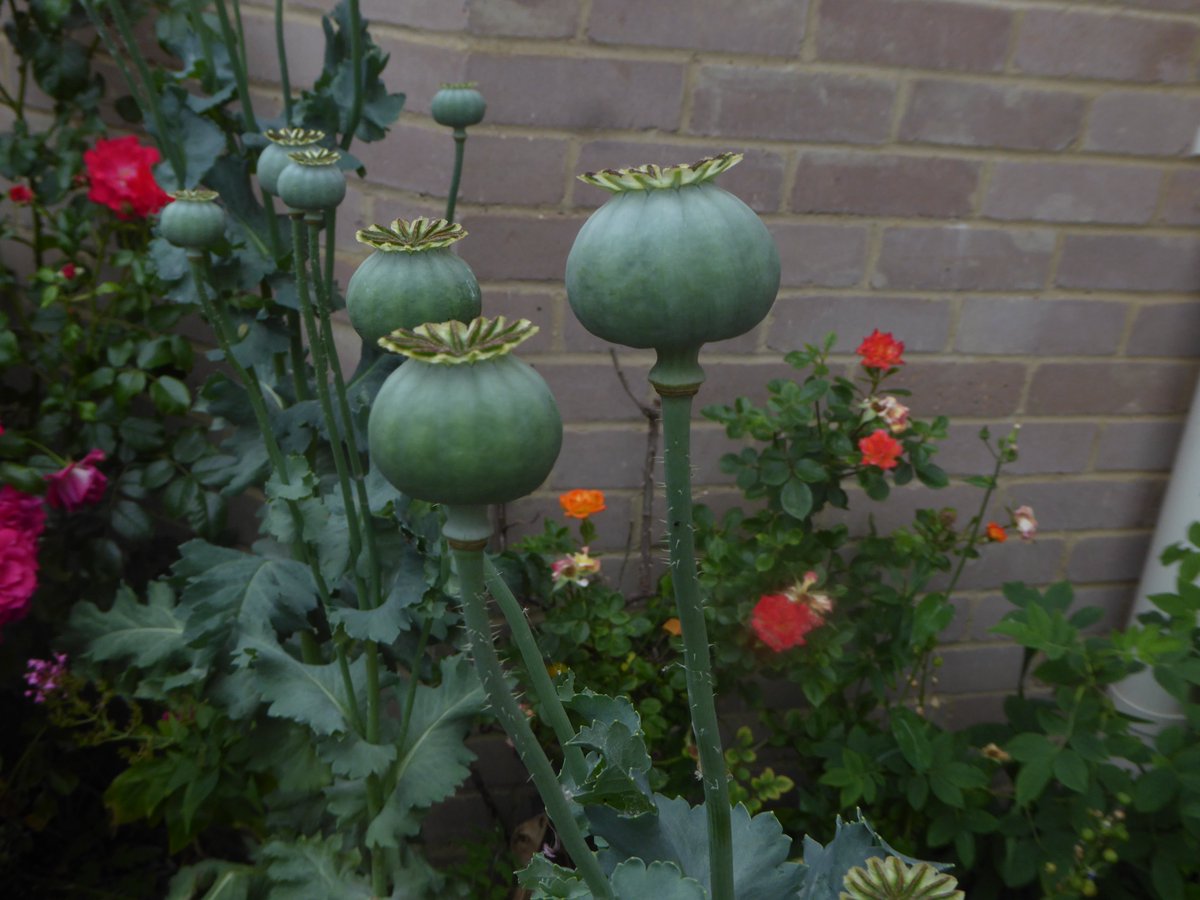 littlemore20's tweet image. photographers