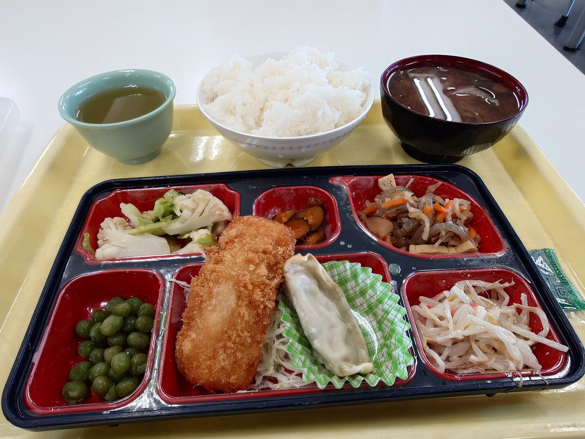 ぶーにゃん (@caster5529) / Posts / X