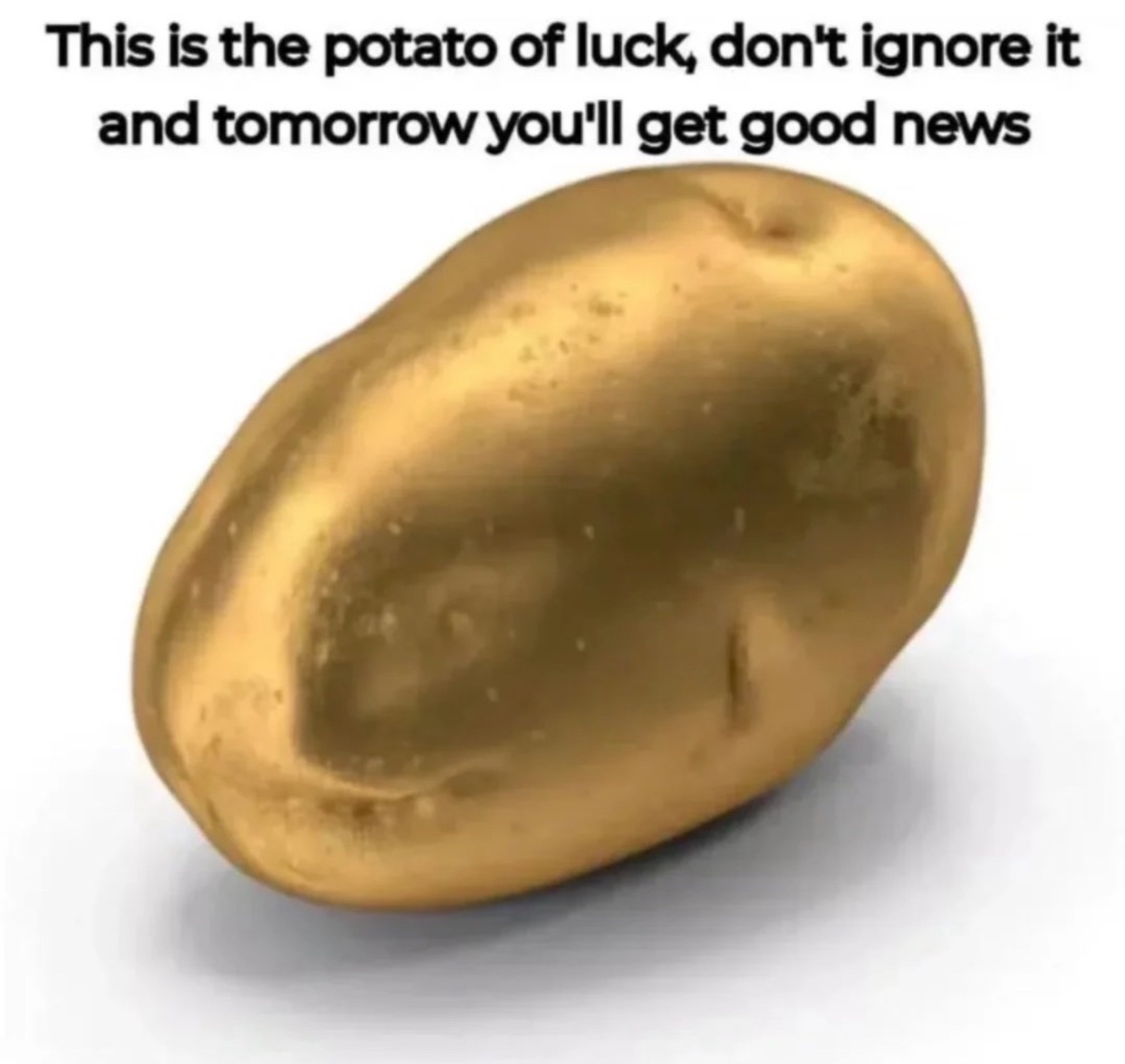 RespectfulMemes's tweet photo. https://t.co/5w6YYLh2HQ