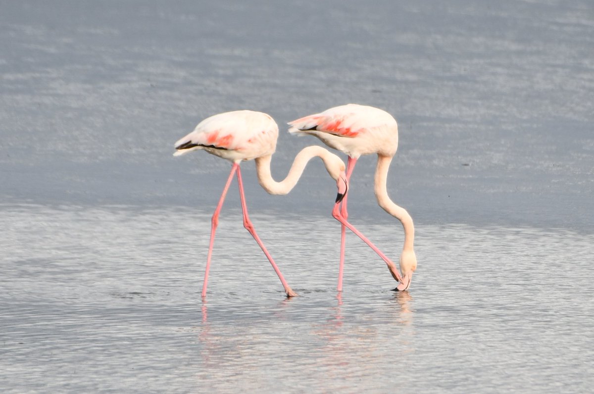 J@a.p (@jose_ap19) on Twitter photo 