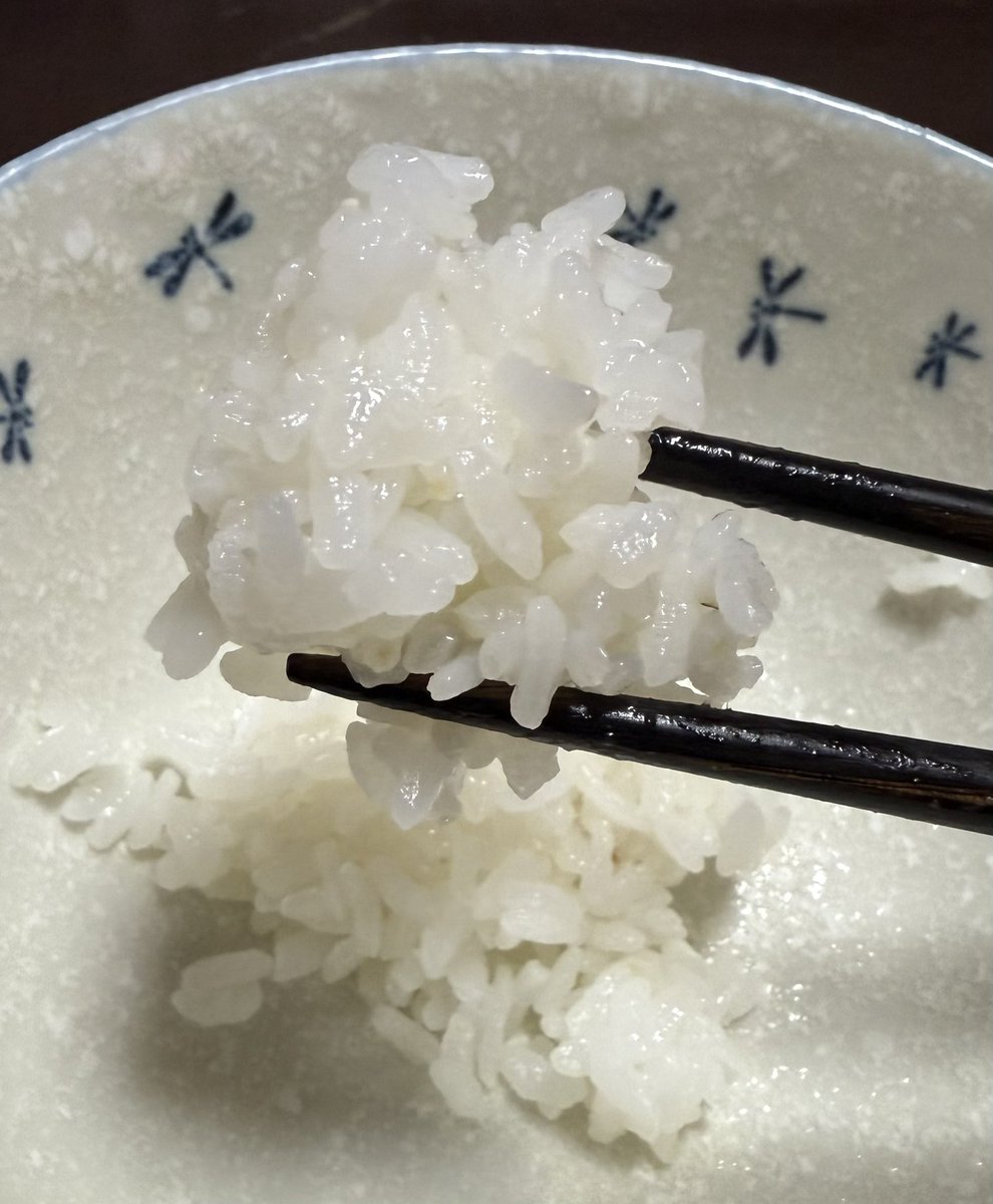 veltex223's tweet photo. 農家さま
トリップラスさま
増田啓介さま
その仲間たちさま
旨いです。
噛めば噛むほど甘いです。
今年のコメは自信があると仰った意味が分かった気がしました。
増田啓介と仲間たちが植えた米を食べさせていただけてニヤニヤしてます。
#推し米
#triplus https://t.co/sccokzVDam