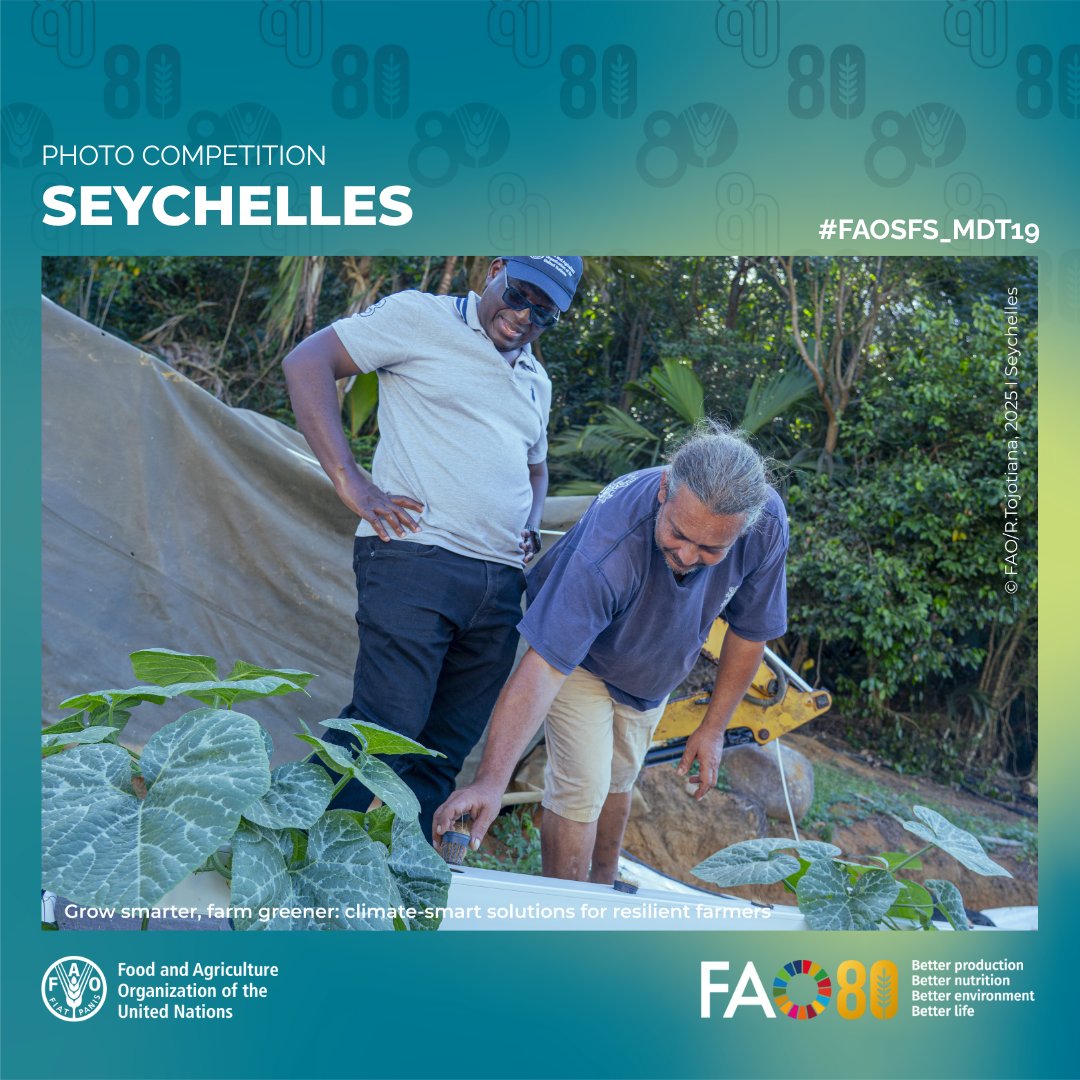 faosfsafrica's tweet photo. 📷🗳️🇸🇨
🌿Greener farming in Seychelles
 🐞Natural pest control meets vertical innovation
🌱@FAO &amp; partners promoting climate-smart agriculture

On Mahé Island, farmers are adopting eco-friendly techniques under the #IPM project—reducing chemical use, protecting biodiversity https://t.co/nRgyL26ww1